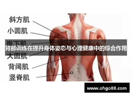 背部训练在提升身体姿态与心理健康中的综合作用